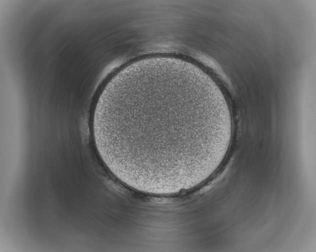 X0000111051218200907231549