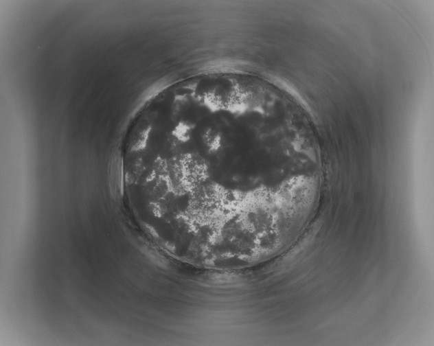 X0000111051219200907231549