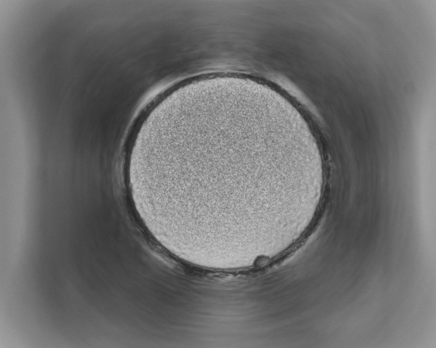 X0000111051222200907231549