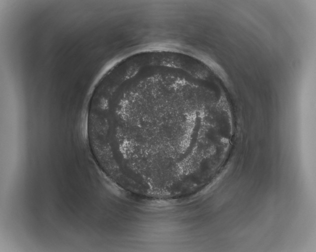 X0000111051224200907231549