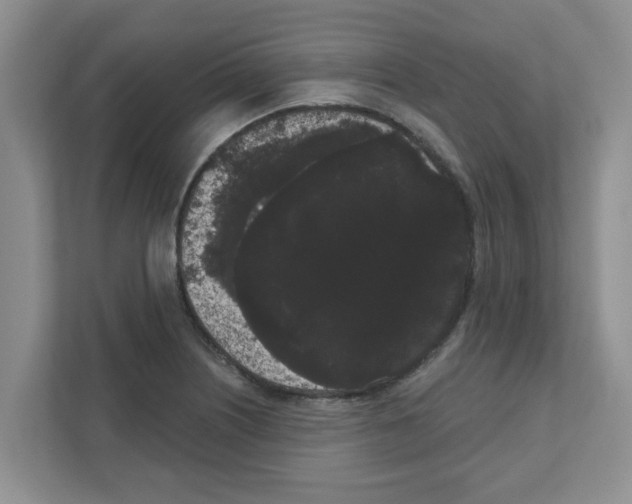 X0000111051226200907231549