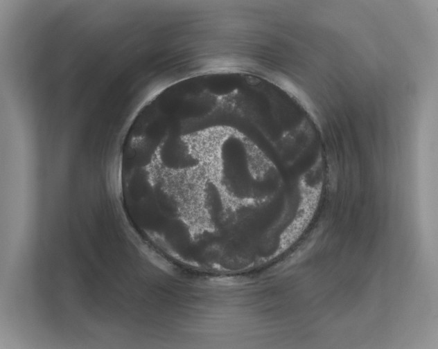 X0000111051227200907231549