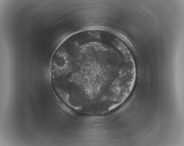 X0000111051228200907231549