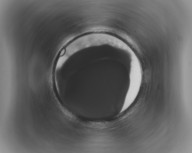 X0000111051229200907231549