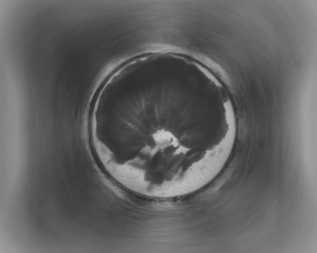 X0000111051231200907231549