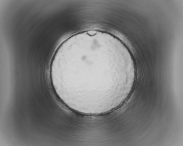 X0000111051234200907231549