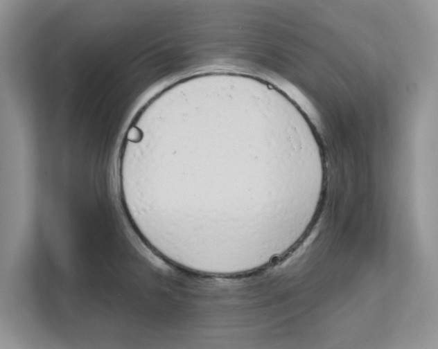 X0000111051238200907231549