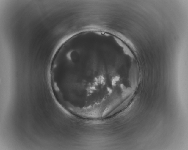 X0000111051239200907231549