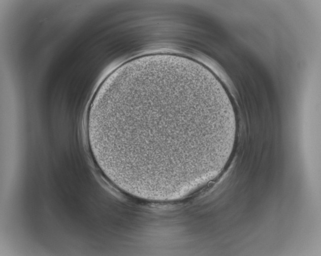 X0000111051242200907231549