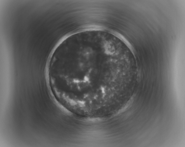 X0000111051243200907231549