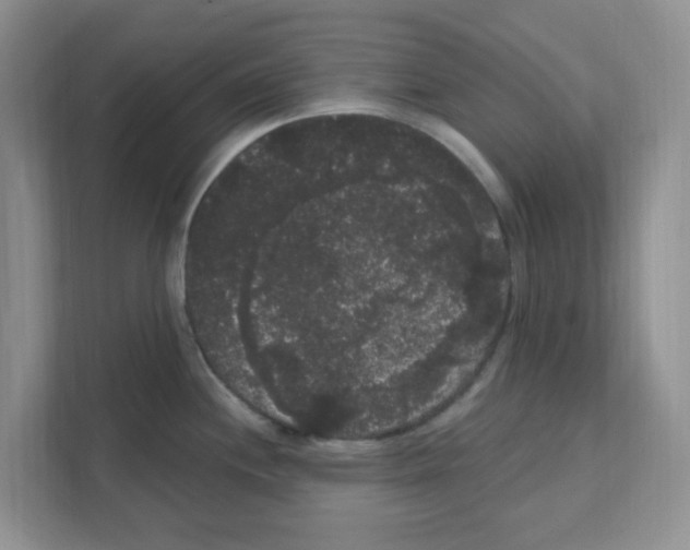 X0000111051244200907231549