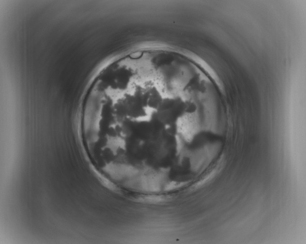 X0000111051245200907231549