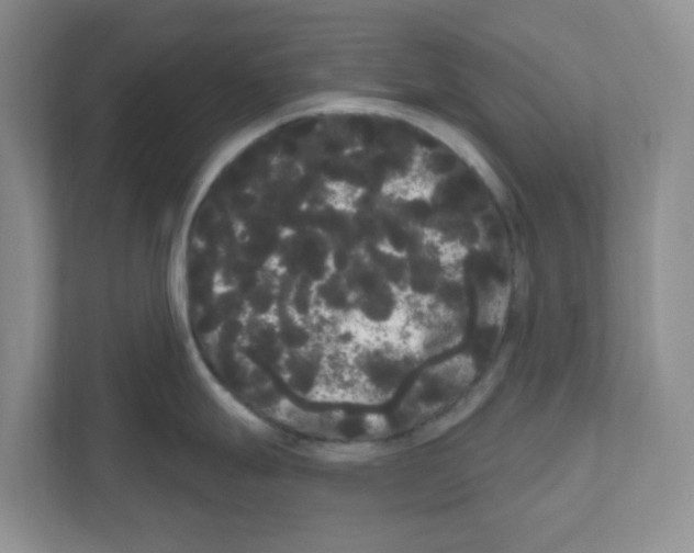 X0000111051247200907231549