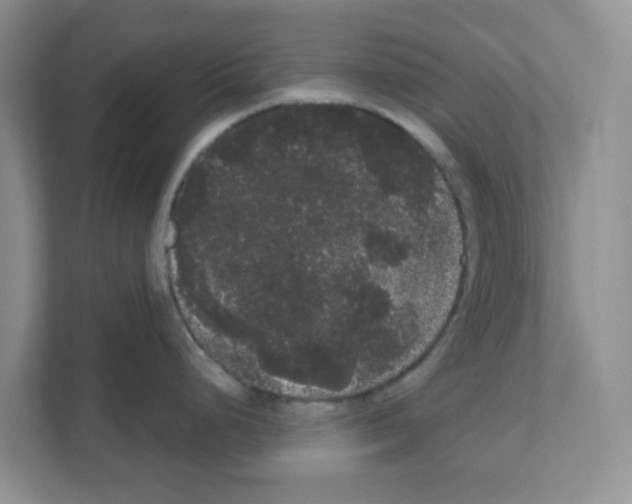 X0000111051248200907231549