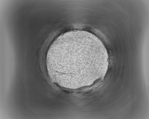 X0000111051249200907231549