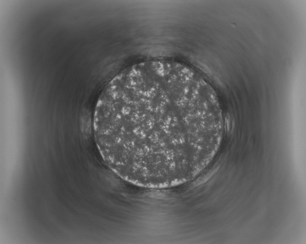 X0000111051251200907231549