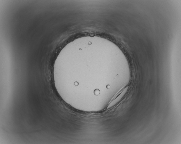 X0000111051253200907231549