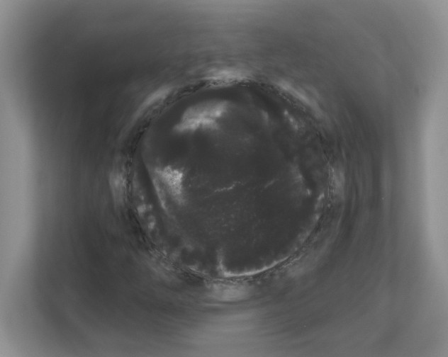 X0000111051254200907231549