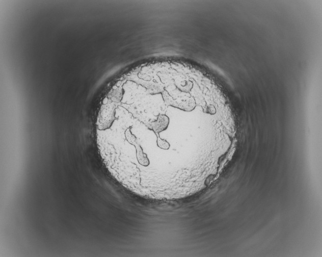 X0000111051255200907231549