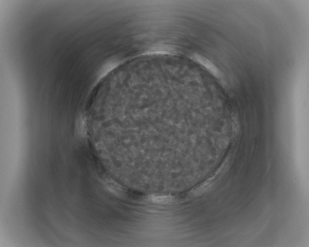 X0000111051258200907231549