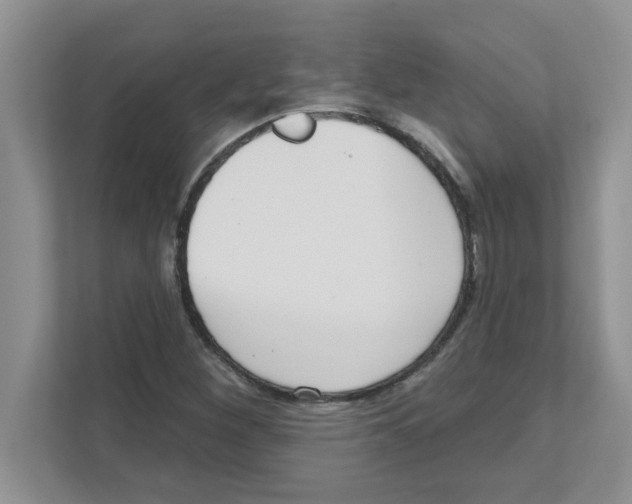 X0000111051260200907231549