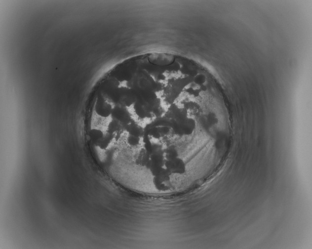 X0000111051263200907231549