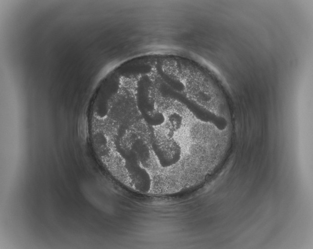 X0000111051267200907231549