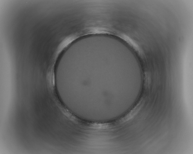 X0000111051269200907231549