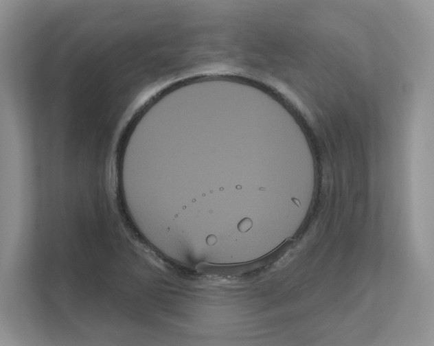 X0000111051270200907231549