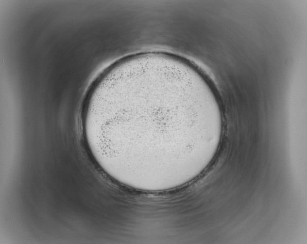 X0000111051271200907231549