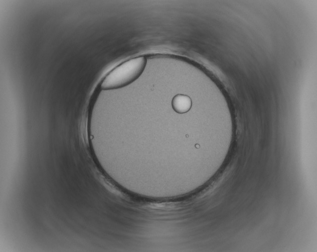 X0000111051272200907231548