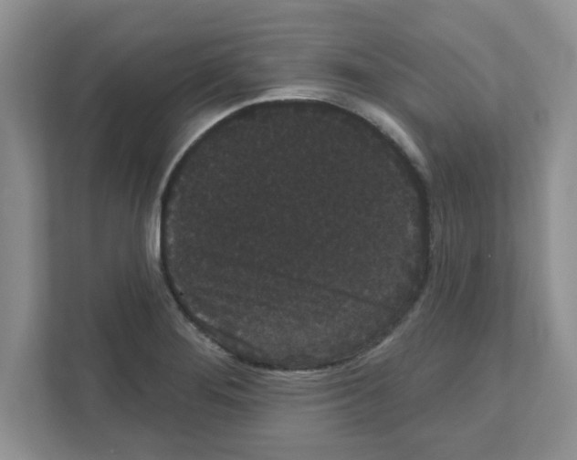 X0000111051276200907231548