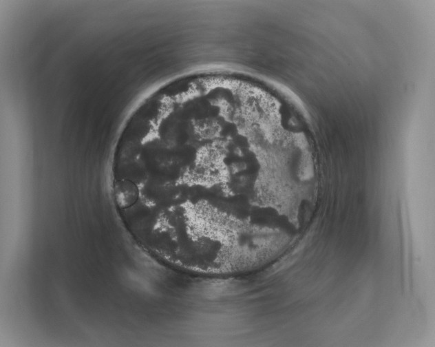 X0000111051279200907231548