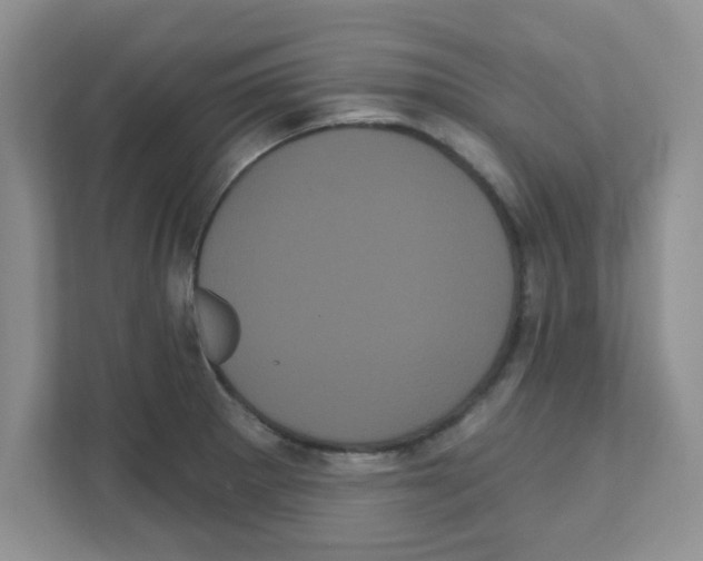 X0000111051281200907231548