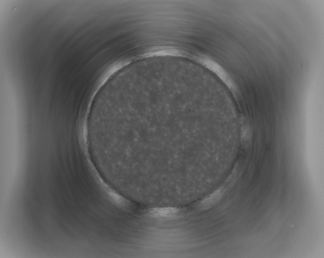 X0000111051282200907231548