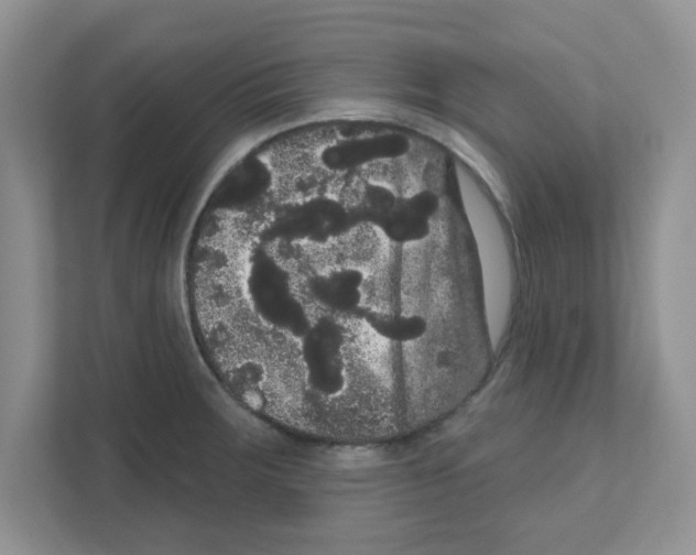 X0000111051283200907231548