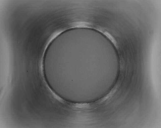 X0000111051285200907231548