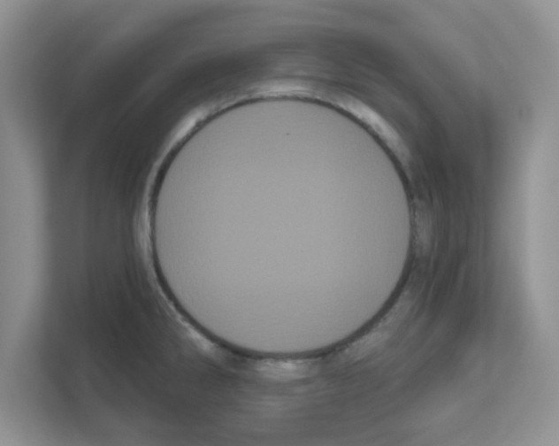 X0000111051286200907231548