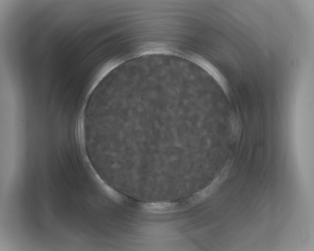 X0000111051290200907231548