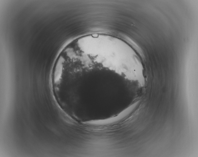 X0000111051291200907231548