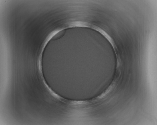 X0000111051293200907231548