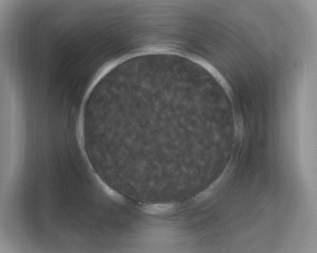 X0000111051294200907231548