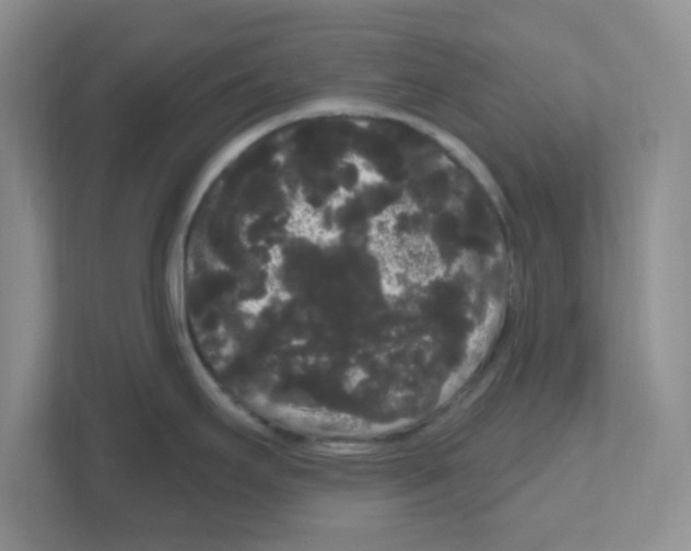 X0000111051295200907231548