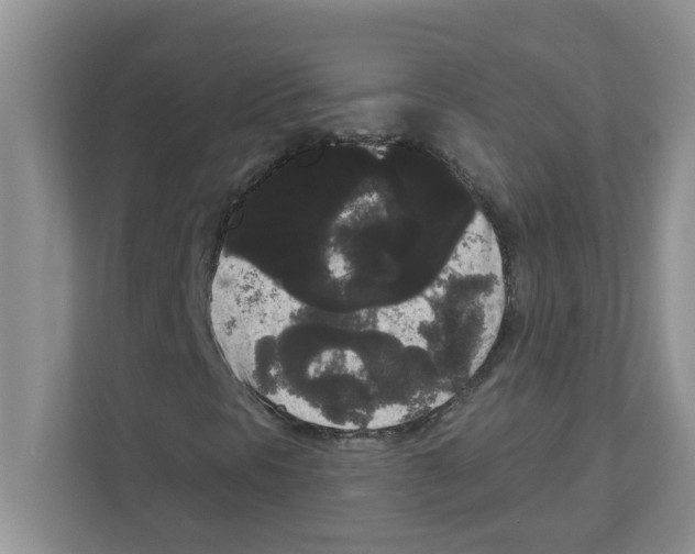 X0000111051297200907231548