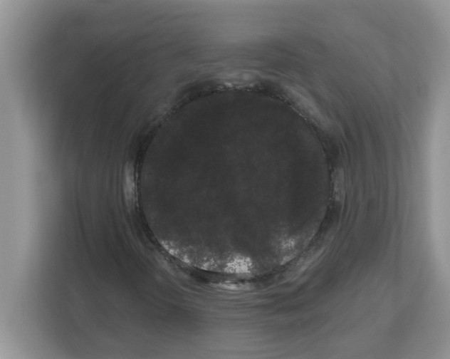 X0000111051298200907231548