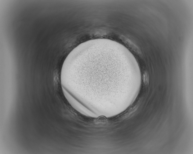 X0000111051299200907231548