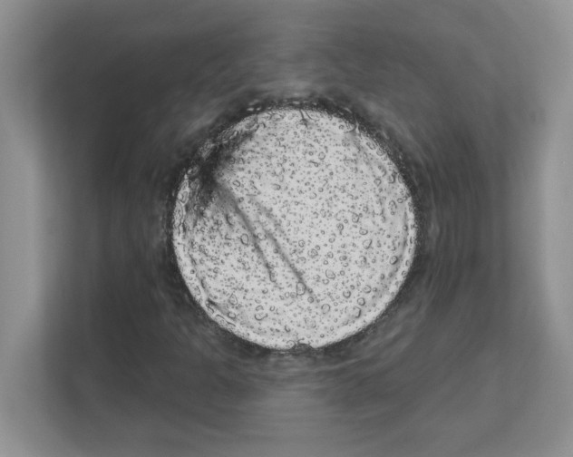 X0000111051301200907231548