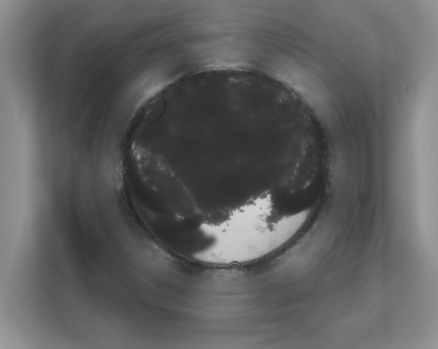 X0000111051306200907231548