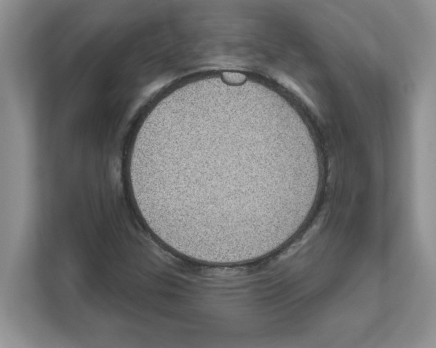 X0000111051307200907231548