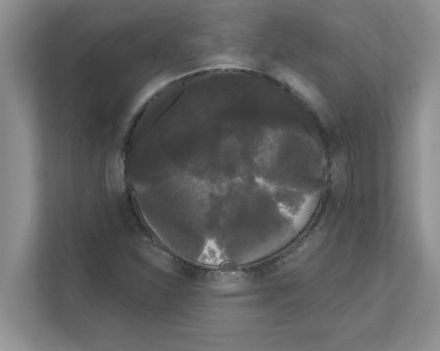 X0000111051310200907231548